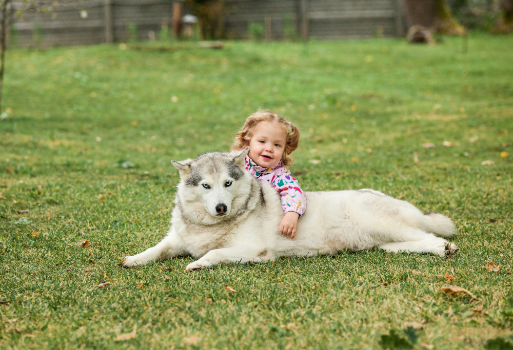 dog with baby