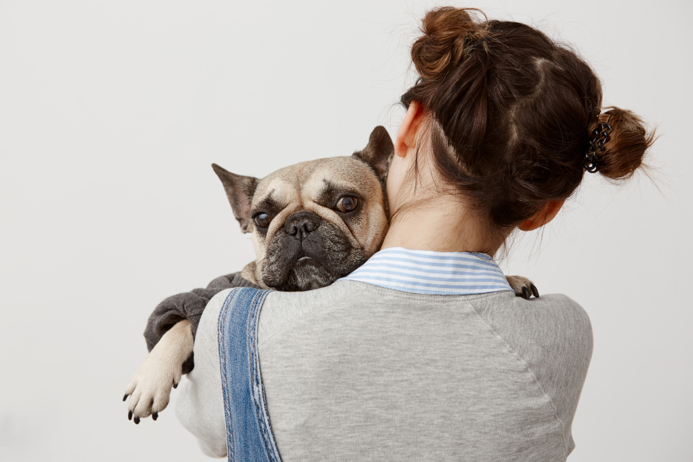 preventive care tips for a happy pet